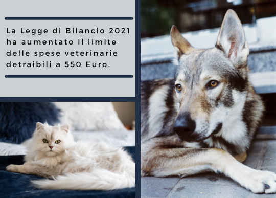 spese veterinarie.png